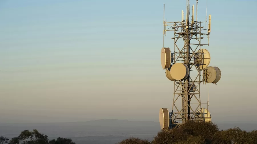 The Rise of Celebrity MVNOs: What Makes These Mobile Networks Tick? 61 MVNO