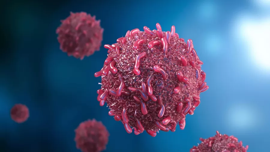 Cancer-Targeting Nanoparticles: A New Frontier in Medical Technology 61 Cancer