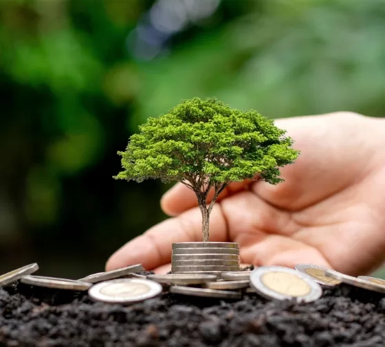 Smart Investing
