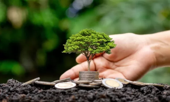 Smart Investing