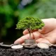 Smart Investing