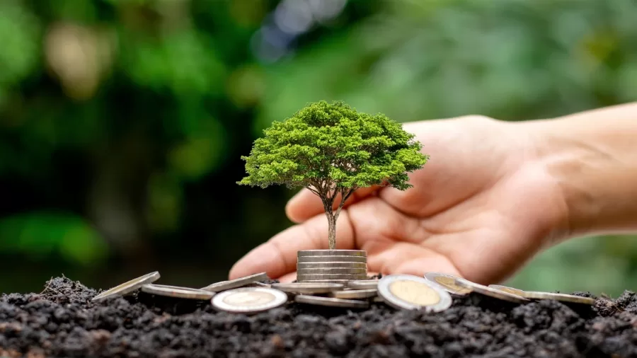 Smart Investing