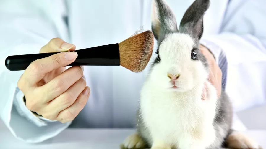 Animal Testing