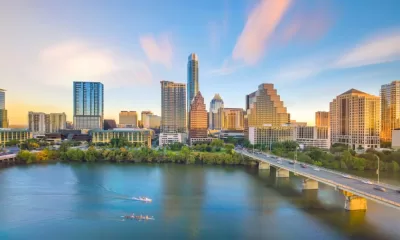 Pest Inspections in Austin What Buyers and Sellers Need to Know