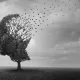 Alzheimer